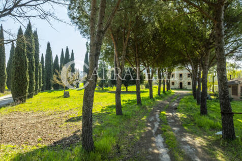 Marsciano stupendo c