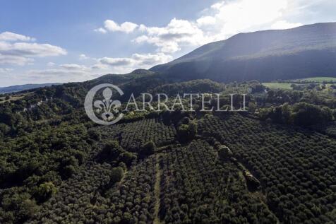 Bellissimo casale in