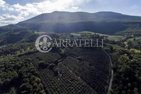Bellissimo casale in