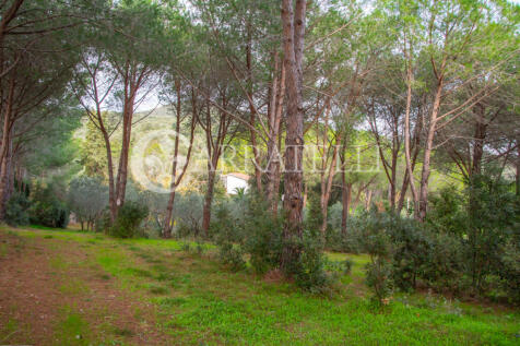 Villa con piscina e 