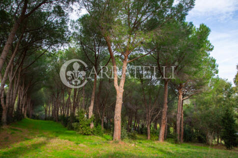 Villa con piscina e 