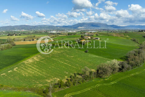 Collestrada casa in 