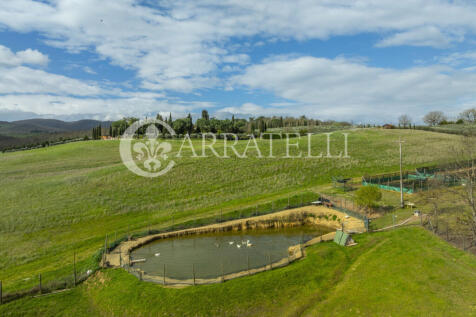 Casale con piscina e