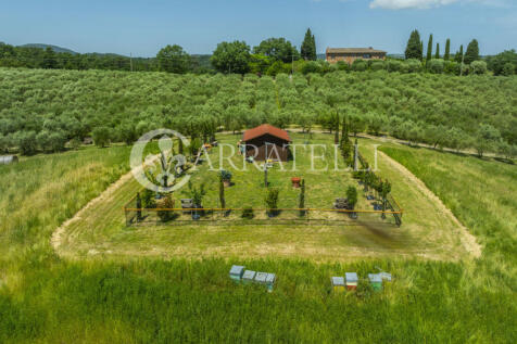 Casale con piscina e