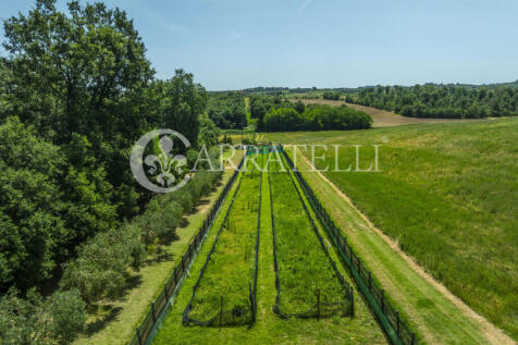Casale con piscina e