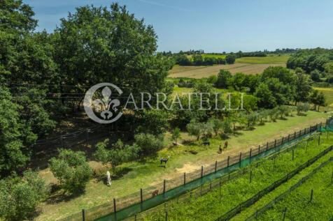 Casale con piscina e