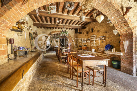 Tenuta con oliveto e
