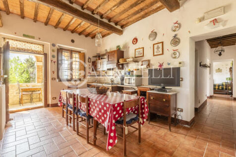 Tenuta con oliveto e