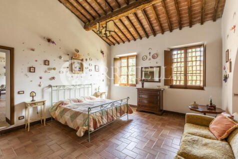 Tenuta con oliveto e
