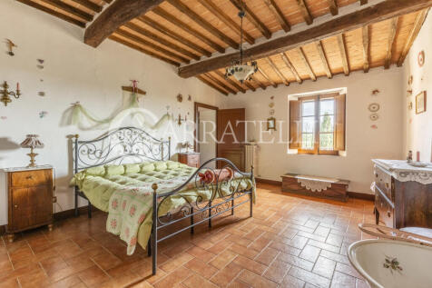 Tenuta con oliveto e