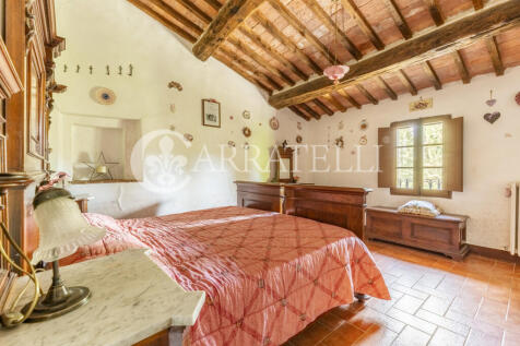 Tenuta con oliveto e