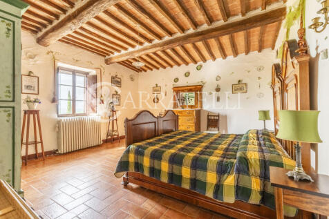 Tenuta con oliveto e