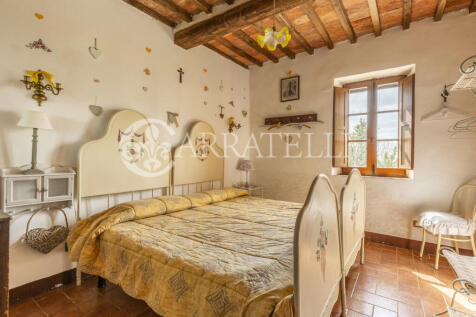 Tenuta con oliveto e