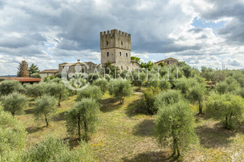 Torre medioevale nel