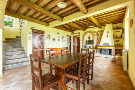 Trasimeno magnifico 