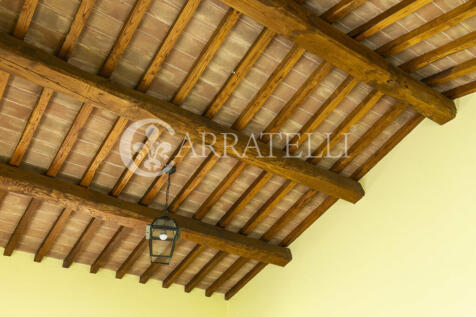 Trasimeno magnifico 
