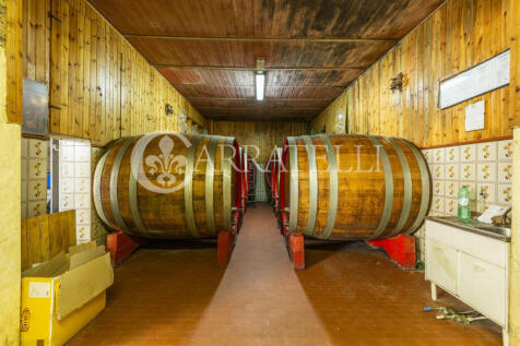 Azienda Vitivinicola