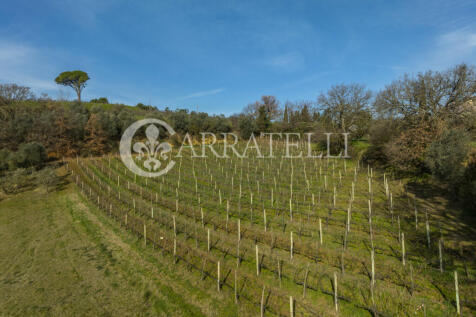 Azienda Vitivinicola