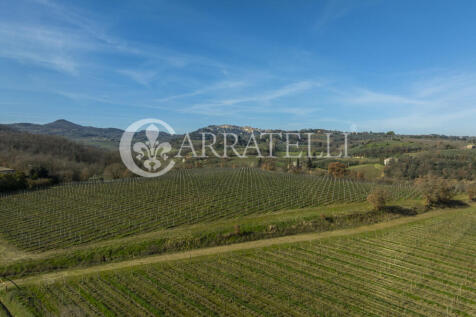 Azienda Vitivinicola