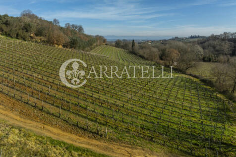Azienda Vitivinicola