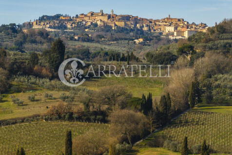 Azienda Vitivinicola