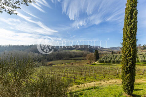 Azienda Vitivinicola
