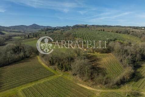 Azienda Vitivinicola