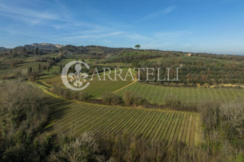 Azienda Vitivinicola