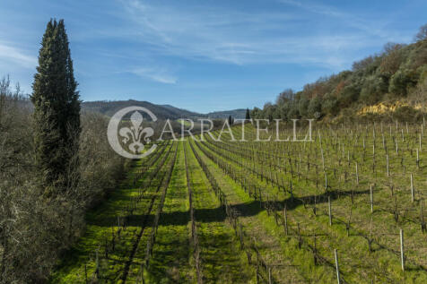 Azienda Vitivinicola