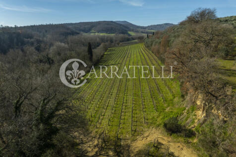 Azienda Vitivinicola