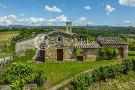 Certaldo Azienda vit