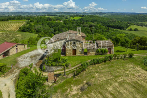 Certaldo Azienda vit