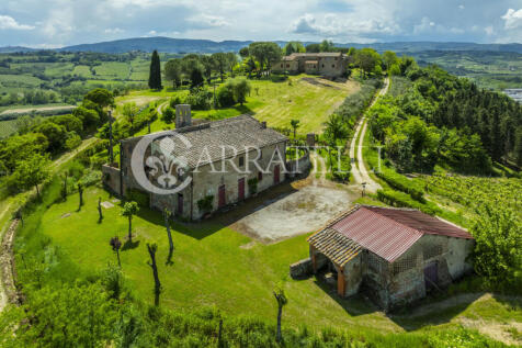 Certaldo Azienda vit