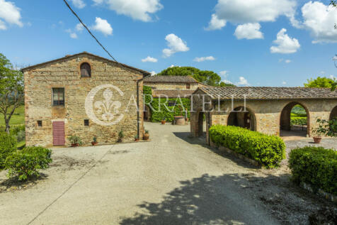 Certaldo Azienda vit