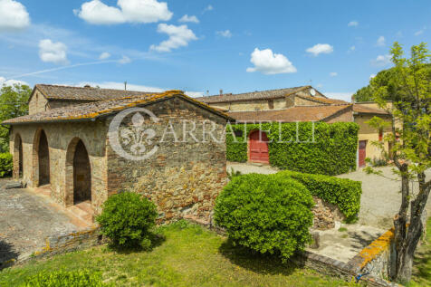 Certaldo Azienda vit