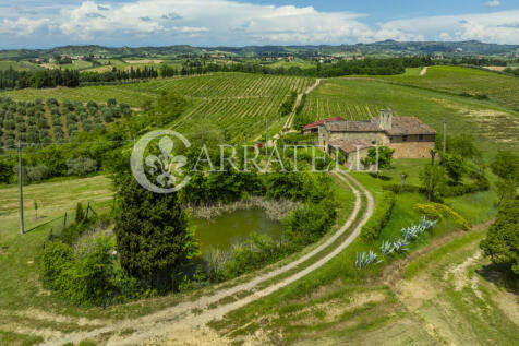 Certaldo Azienda vit