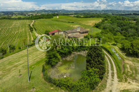 Certaldo Azienda vit