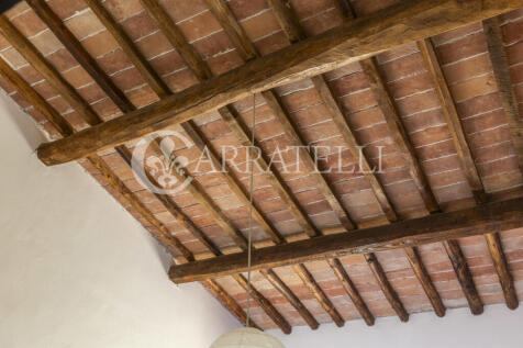 Certaldo Azienda vit