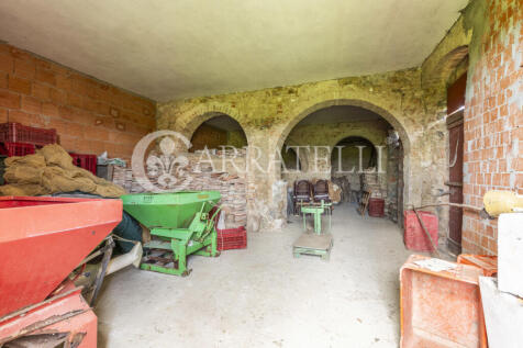 Certaldo Azienda vit