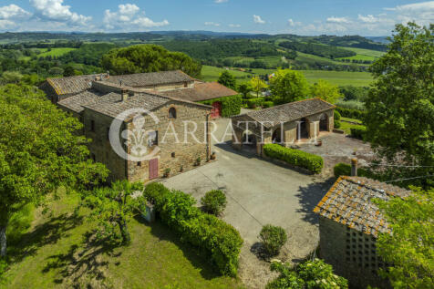 Certaldo Azienda vit