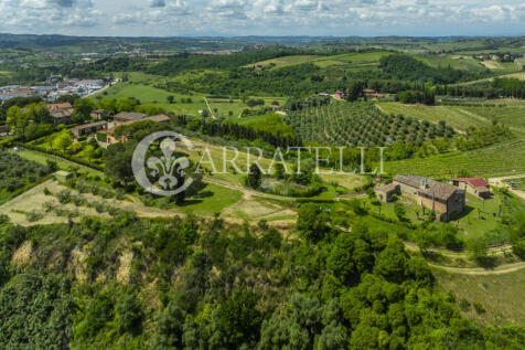 Certaldo Azienda vit