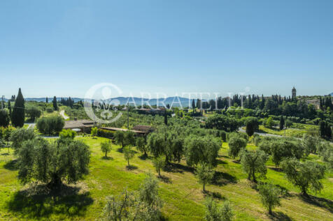 Azienda Agricola a S