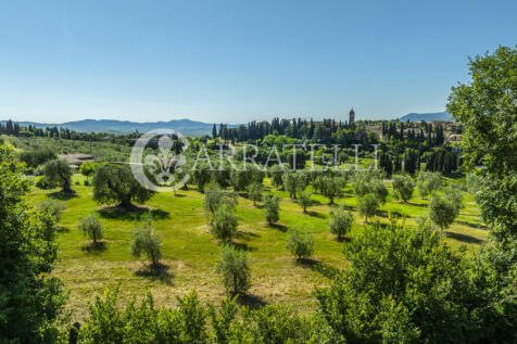 Azienda Agricola a S