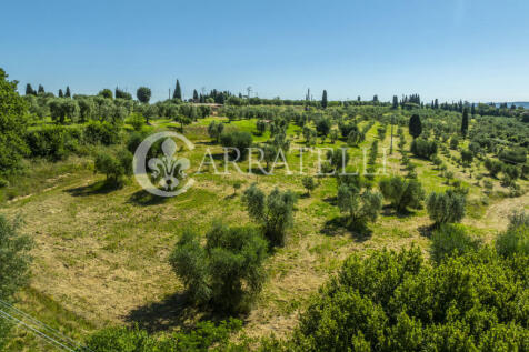 Azienda Agricola a S