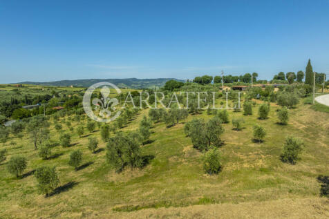 Azienda Agricola a S