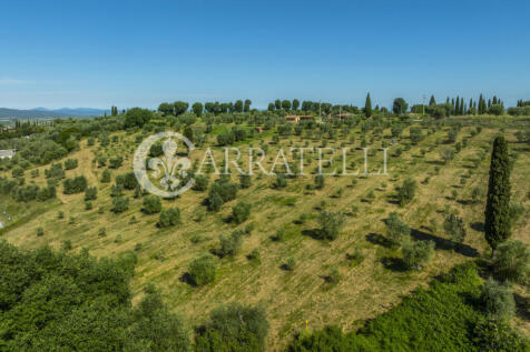 Azienda Agricola a S