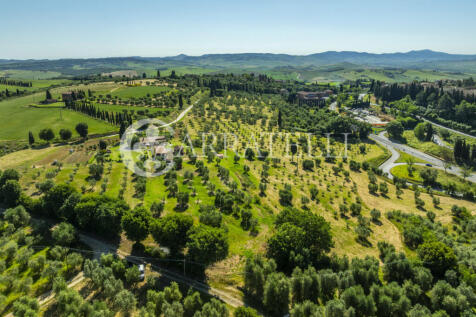 Azienda Agricola a S