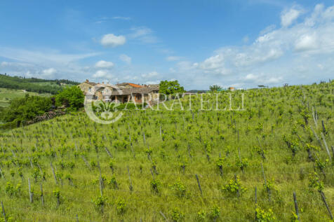 Casale con giardino 