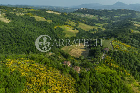 Grazioso casale con 