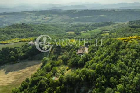 Grazioso casale con 